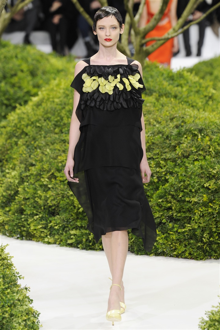 Christian Dior 2013 İlkbahar/Yaz Couture