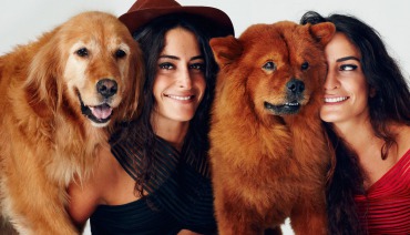 Dogmodeller ve Aileleri