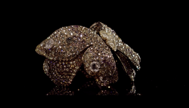 Molu Jewellery ile Işıldayın