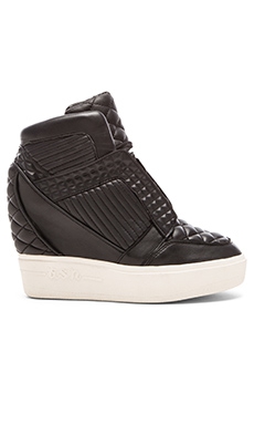 Azimut Wedge 425 Dolar