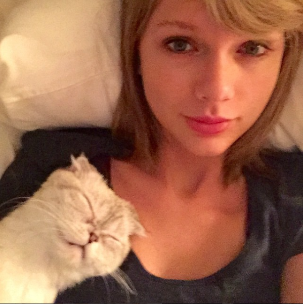 Fotoğraf: @taylorswift