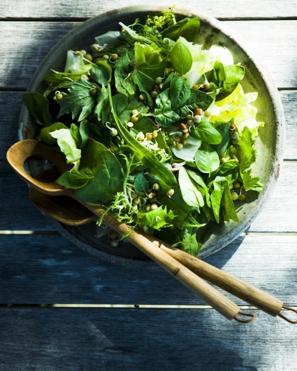 Ödem Atan Salata ile Şişkinlikten Kurtulun Ödem Atan Salata ile Şişkinlikten Kurtulun