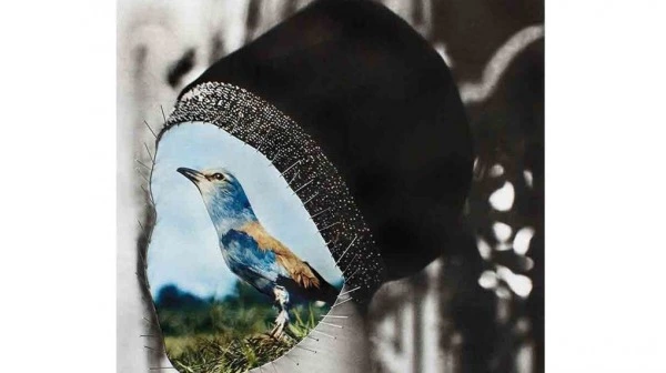Sanat Fotoğrafçılığı 3. Boyutunda Sanat Fotoğrafçılığı 3. Boyutunda