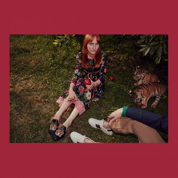 Instagram'ı En İyi Kullanan Markalar Gucci