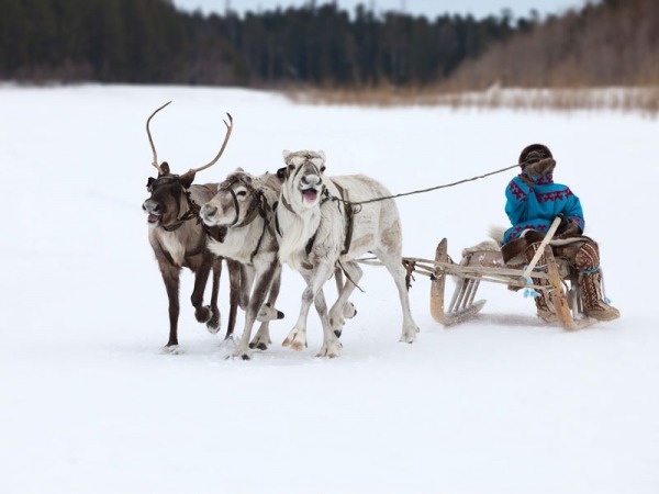 Jokkmokk Kış Pazarı– Jokkmokk, İsveç