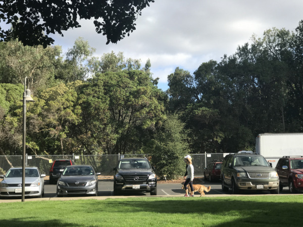 Stanford Mahallesinin İyi Komşuları