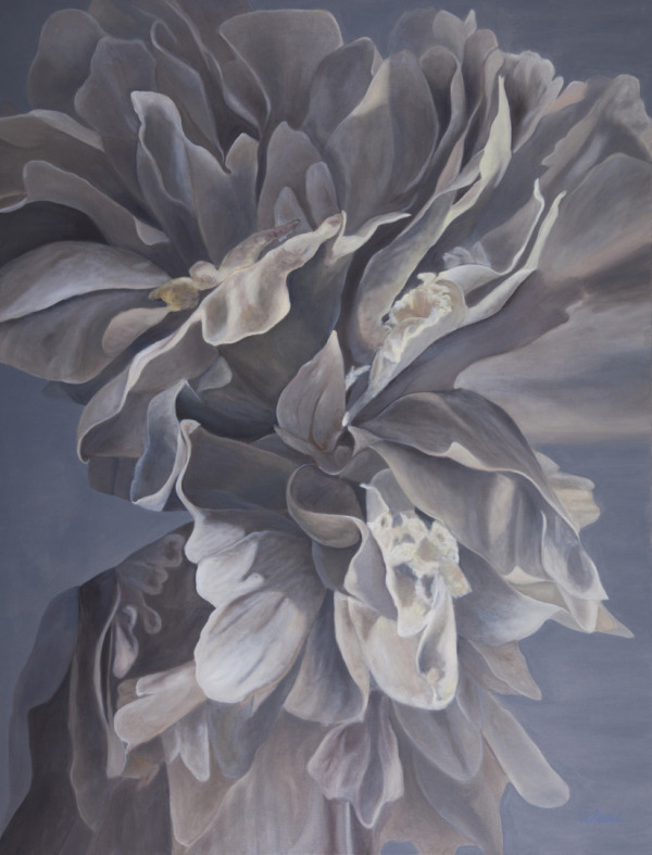 'Şakayık Halleri' Sergisi Imoga Art Gallery'de