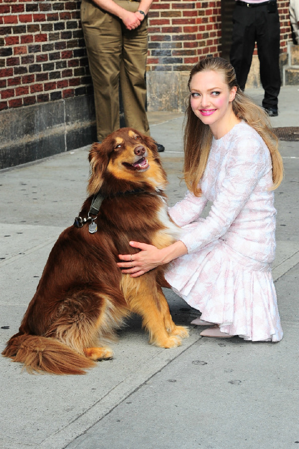 Amanda Seyfried 