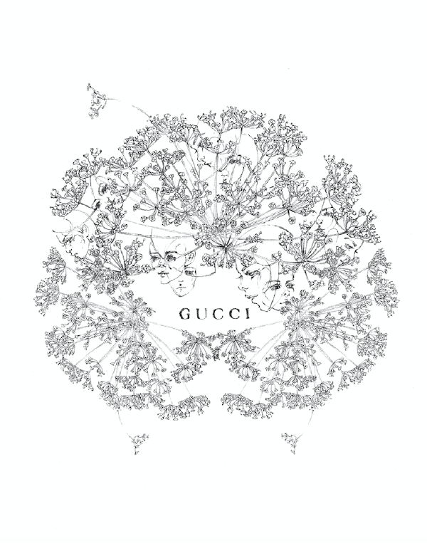 Phoebe Collings-James