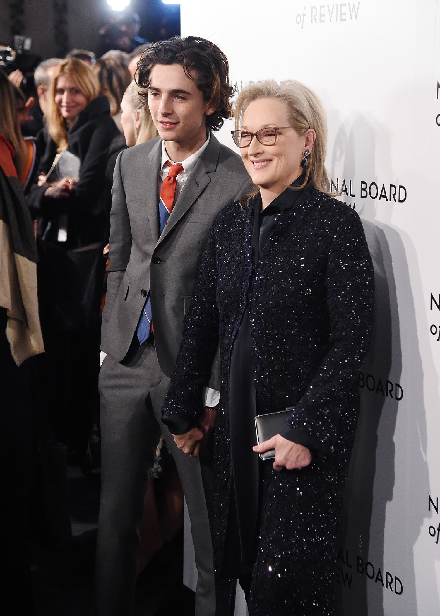 Timothée Chalamet, Meryl Streep