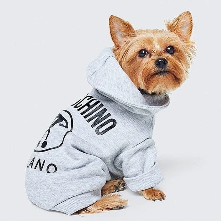 Jeremy Scott'ın H&M ile Hayvansever İş Birliği moschino