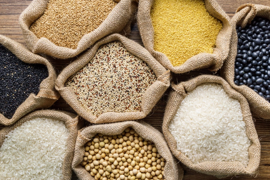 Teff Tohumu Hakkında Bilmeniz Gerekenler Teff Tohumu Hakkında Bilmeniz Gerekenler