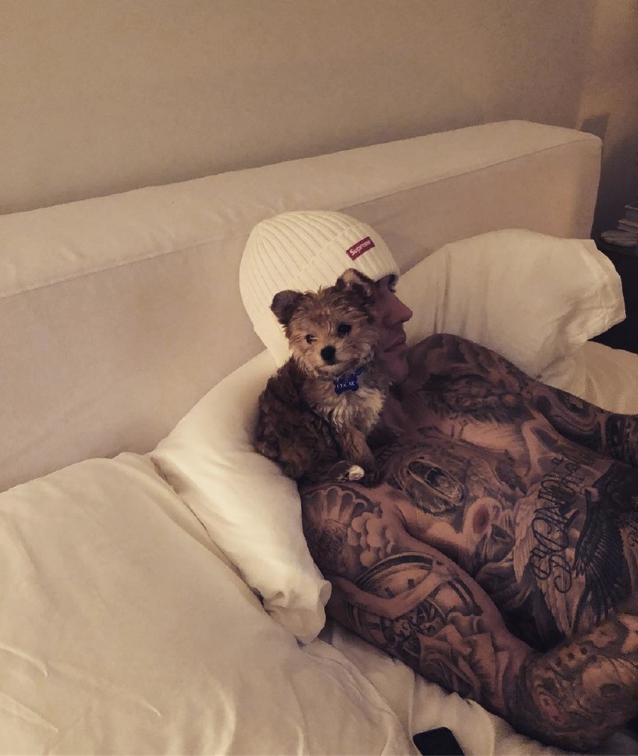 Hailey & Justin Bieber Ailesinin Yeni Üyesiyle Tanışın Hailey & Justin Bieber Ailesinin Yeni Üyesiyle Tanışın