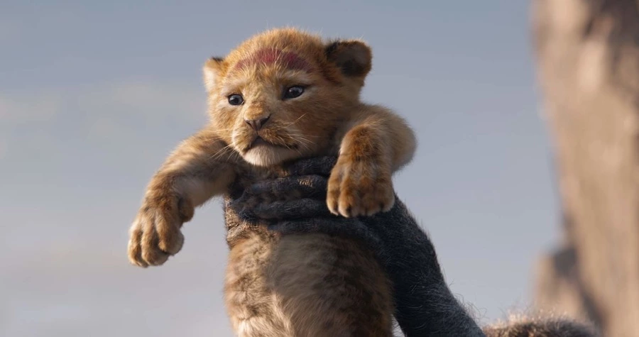 Bir Disney Rönesansı: Aslan Kral aslan,kral