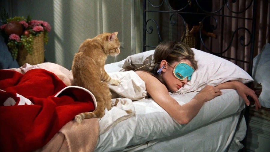 Saçlara Gece Bakımı: En İyi 7 Uyku Maskesi Audrey Hepburn