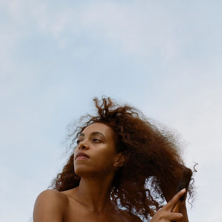 Solange Knowles ve Alan Ferguson Neden Boşandı?