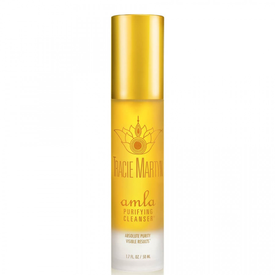 Tracie Martyn Amla Purifying Cleanser