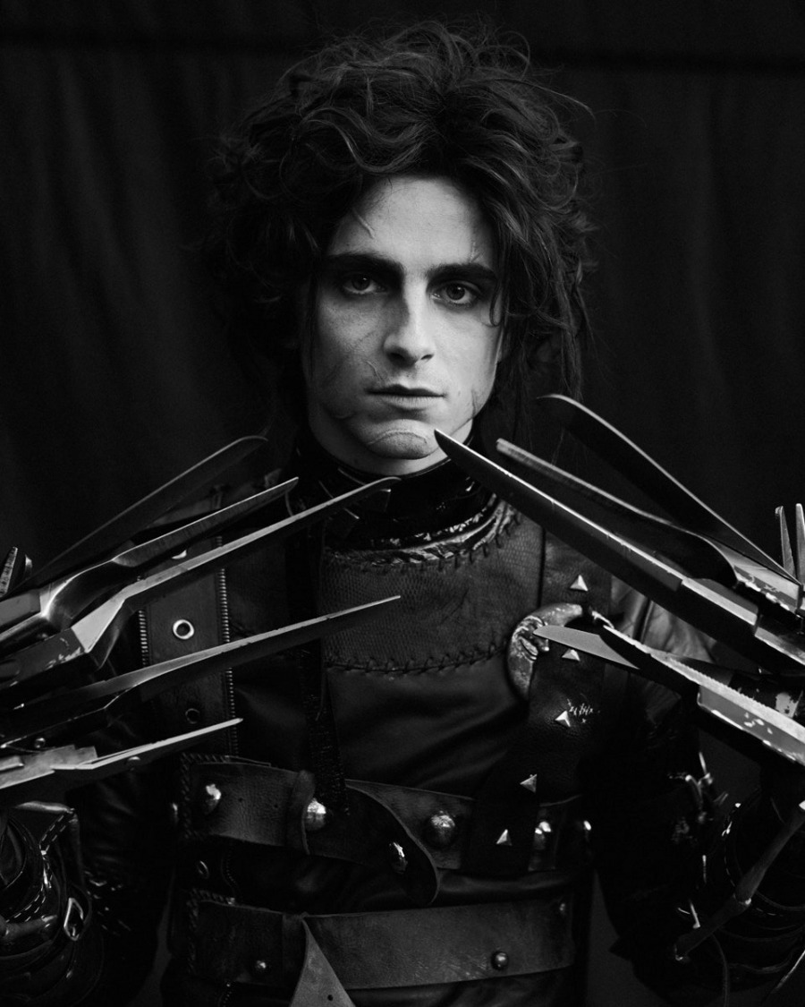 Timothée Chalamet Yeni Edward Scissorhands Olursa