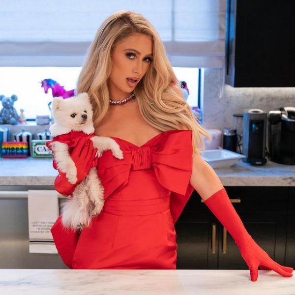 Yeni Şefiniz Paris Hilton