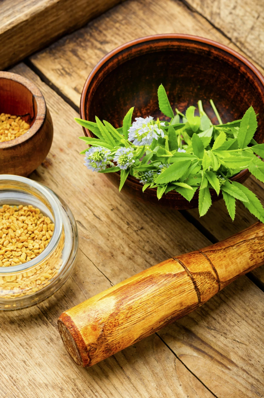 Çemen Otunun Faydaları Çemen otu, Fenugreek