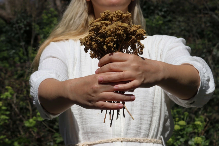 Bitkilerin Mucizevi Dünyasından İlhamla Performans sanatçısı Ayça Ceylan’ın “*#MyInnerFlora (manifest)” performans belgesi 30 Kasım-4 Aralık 2021 tarihleri arasında Performance Alive ve Satellite Art Show işbirliğiyle Miami Art Week’te yer alacak.
