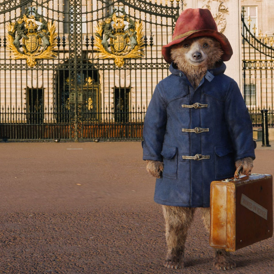 Ayı Paddington Bir Sonraki Macerasına Hazır