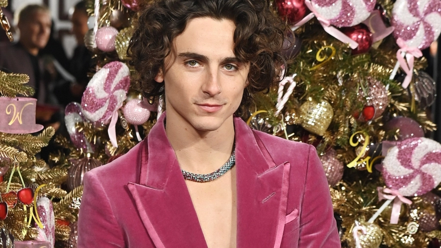 "Çılgınca, Değil mi?" Timothée Chalemet Şekerlemeden İlham Alan Özel Wonka Kolyesi İçin Cartier ile Çalıştı "Çılgınca, Değil mi?" Timothée Chalemet Şekerlemeden İlham Alan Özel Wonka Kolyesi İçin Cartier ile Çalıştı