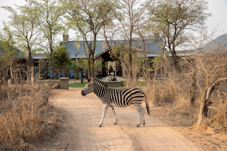 Afrika’nın En Lüks 5 Safari Konaklama Alanı