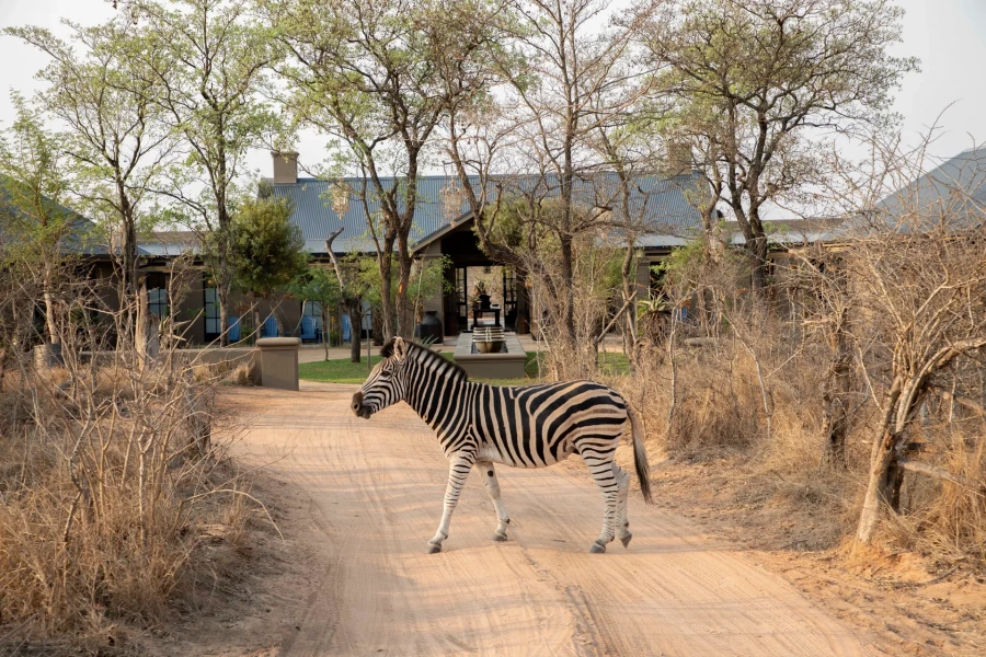 Afrika’nın En Lüks 5 Safari Konaklama Alanı Afrika’nın En Lüks 5 Safari Konaklama Alanı