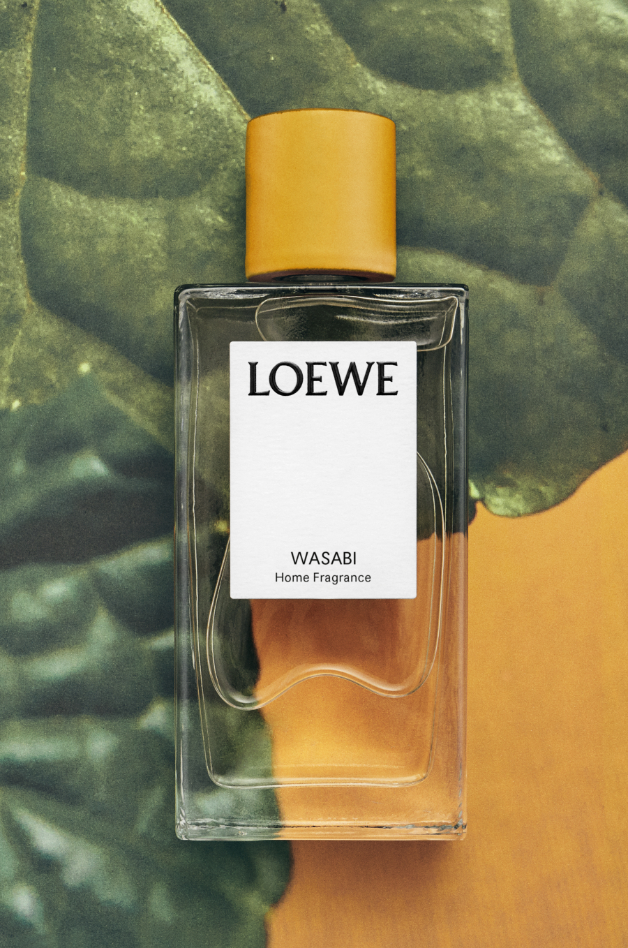 Loewe Home Scents Wasabi Oda Kokusu