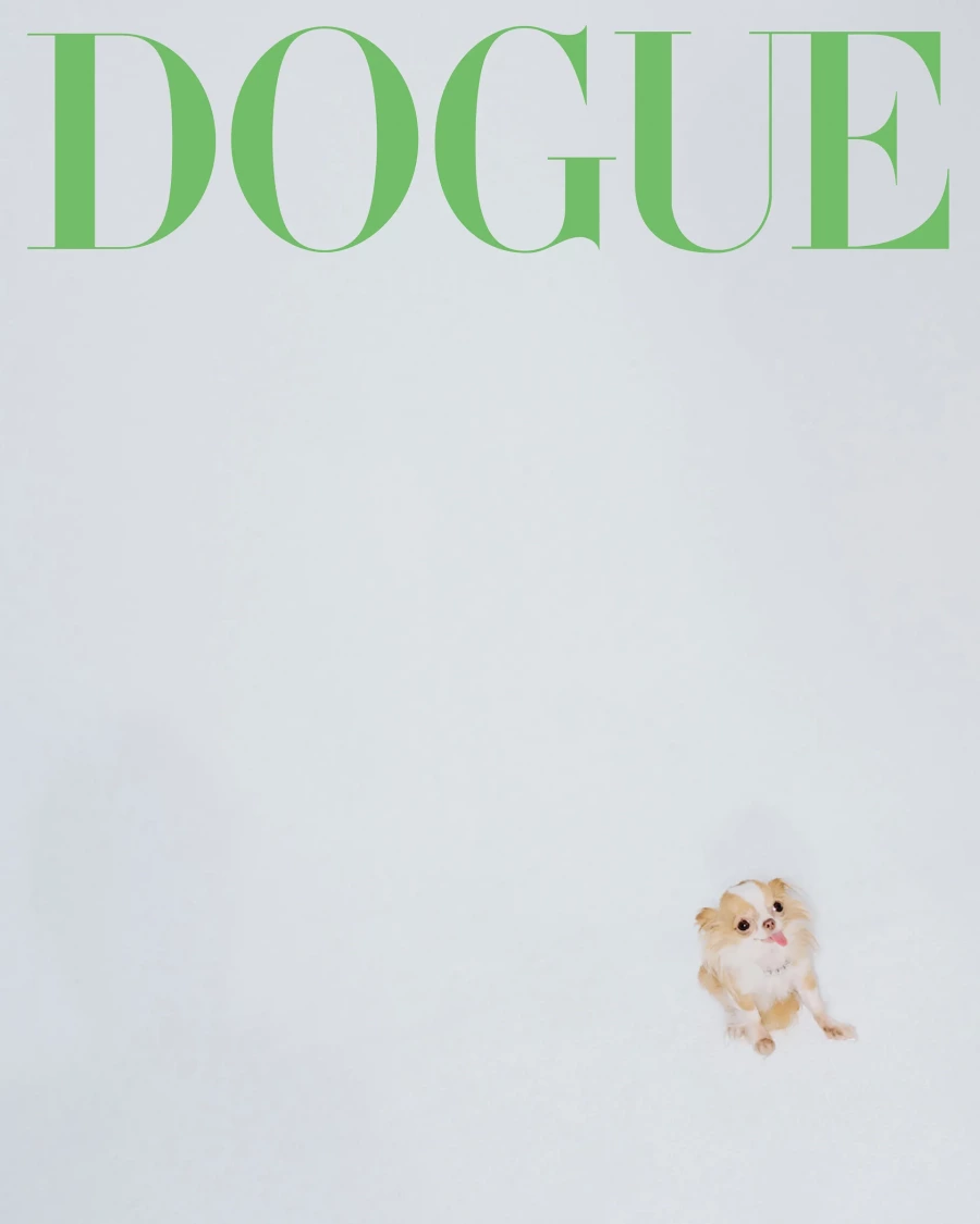 Demi Moore'un Mikro Chihuahua’sı Pilaf, Büyük Bir Yıldız Olmak İçin Doğdu Demi Moore'un Mikro Chihuahua’sı Pilaf, Büyük Bir Yıldız Olmak İçin Doğdu
