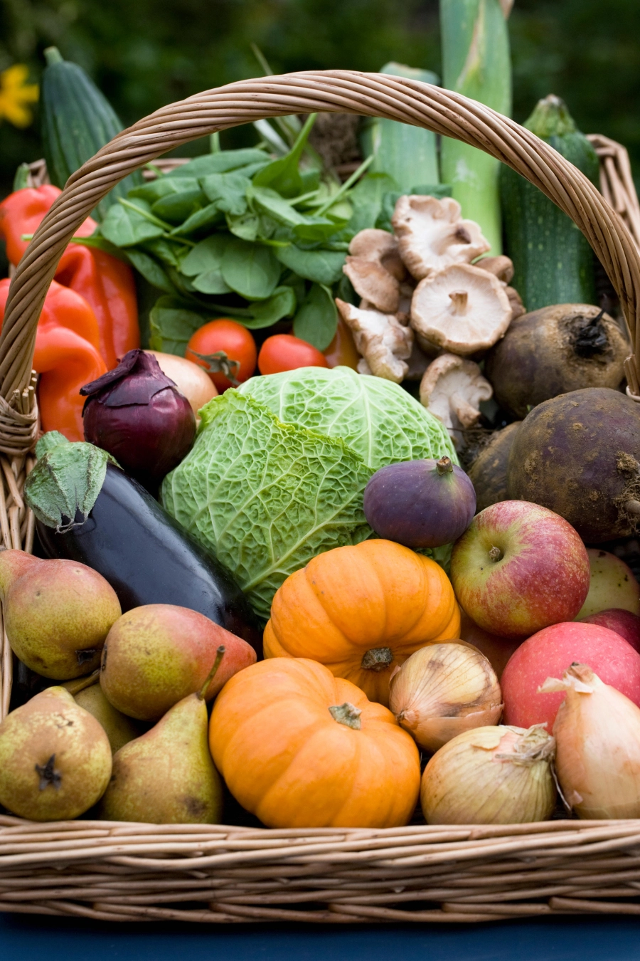 Lektin Diyeti Nedir? Lektin Diyeti Nedir?