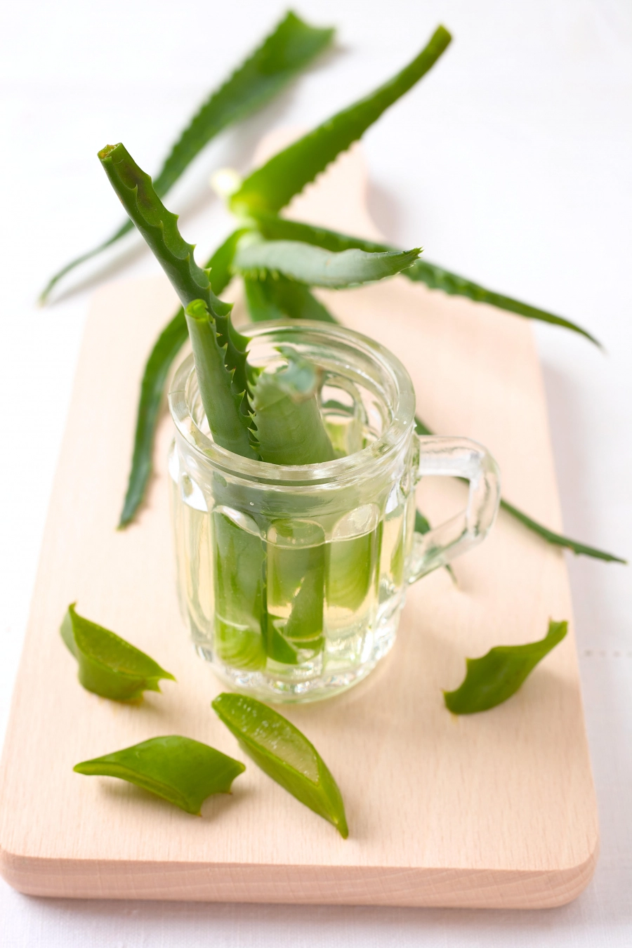 Aloe Vera Suyu Faydaları Nelerdir? Aloe Vera Suyu Faydaları Nelerdir?