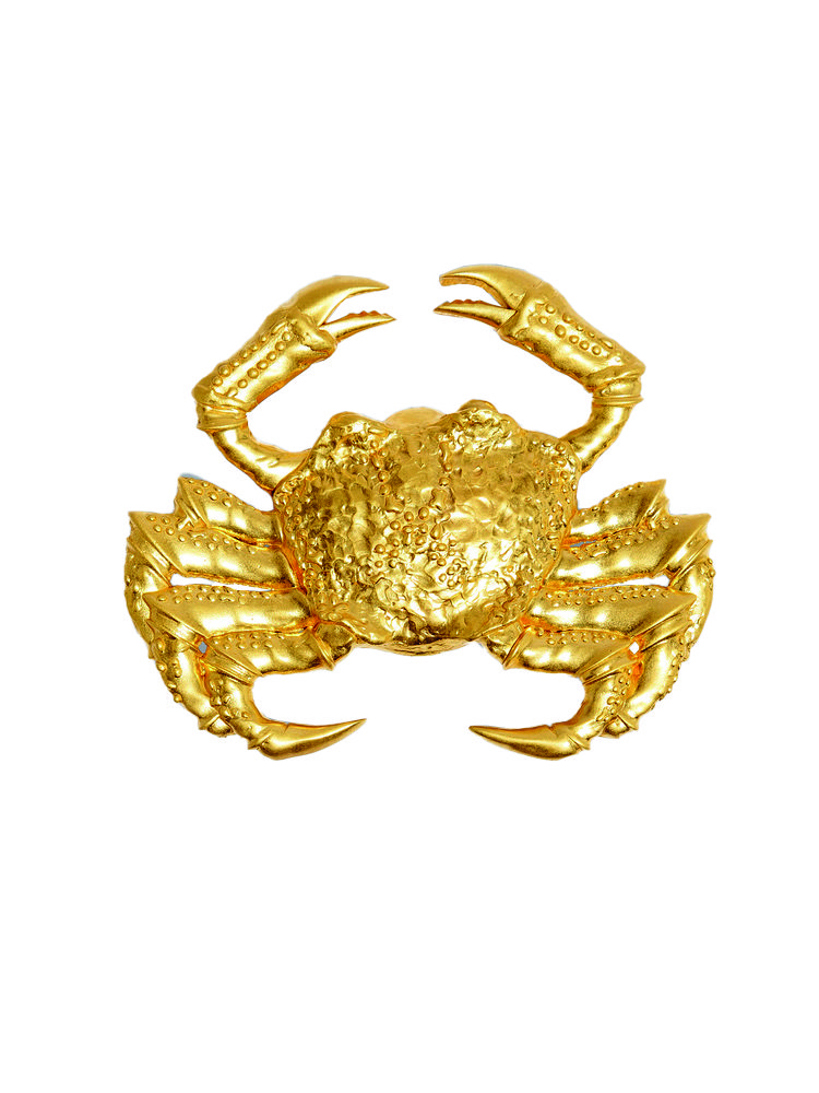 Broş SCHIAPARELLI