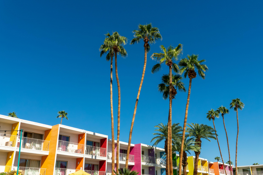 Palm Springs’ten Mendocino’ya Kaliforniya Rotaları