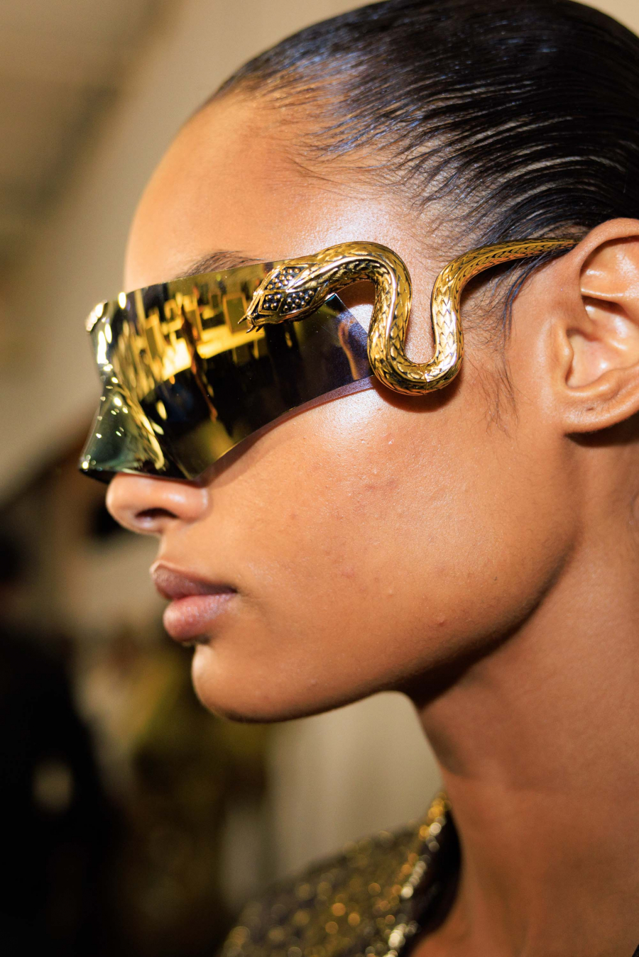 Roberto Cavalli 2026 İlkbahar/Yaz