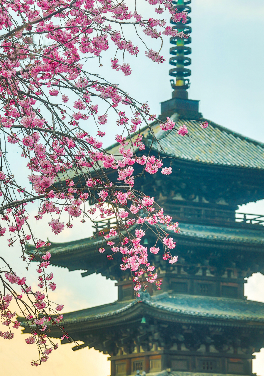 Japonya’ya İlk Kez Gidecekler İçin Görülmesi Gereken En Güzel Şehirler Japonya’ya İlk Kez Gidecekler İçin Görülmesi Gereken En Güzel Şehirler