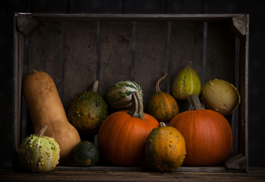 Sonbaharda Keşfedebileceğiniz Gastronomi Odaklı Rotalar Sonbaharda Keşfedebileceğiniz Gastronomi Odaklı Rotalar