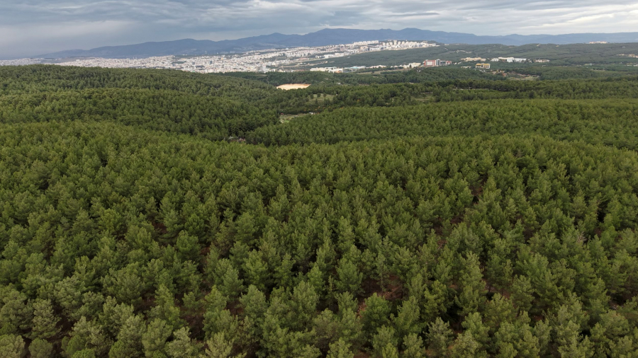 Ağaçlandırma Seferberliği’nin İlk Adımı
