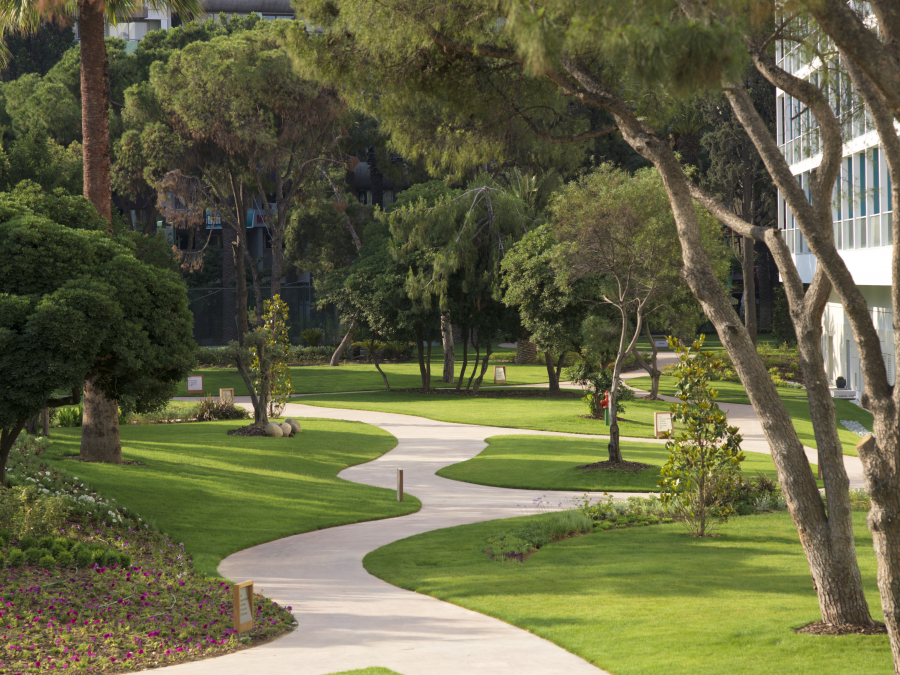 Şehrin Kalbinde Bir Bağ Bozumu Ritüeli: İzmir’de Zamanı Yavaşlatan Bir Gün Şehrin Kalbinde Bir Bağ Bozumu Ritüeli: İzmir’de Zamanı Yavaşlatan Bir Gün