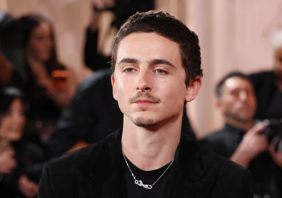 Timothée Chalamet, Cartier