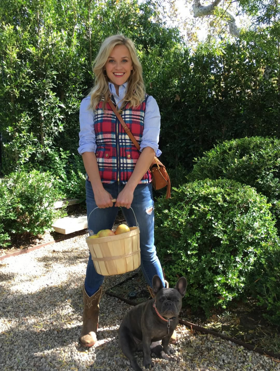 2026 Yeni Bir 2016 mı? İnternetin Altın Çağına Nostaljik Bir Dönüş