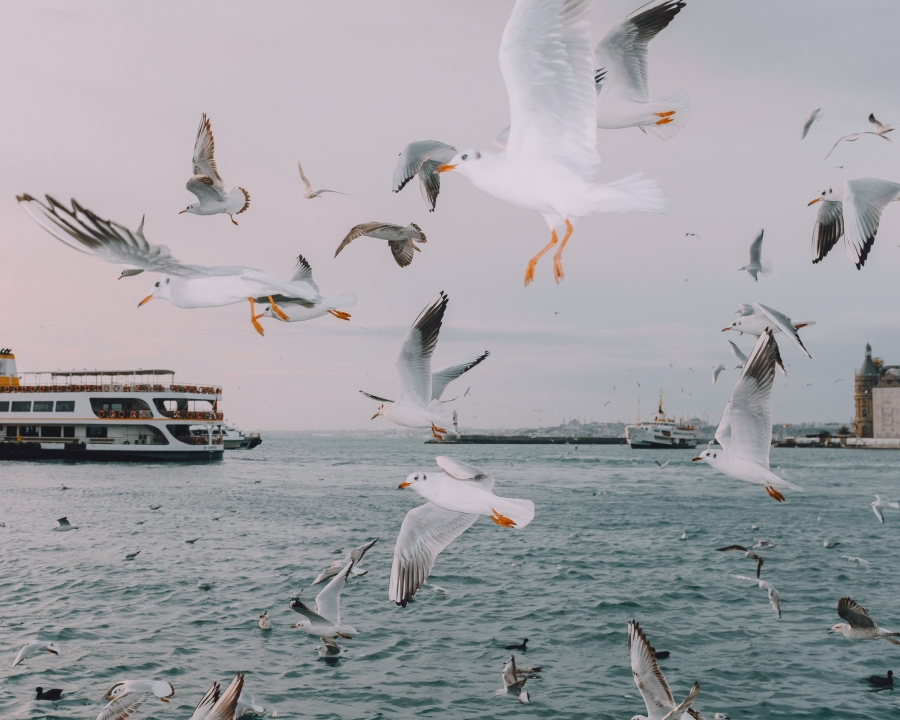 Fotoğraf Sanatçısı Ci Demi: “Bir korku filmi çektiğimi hayal ederek fotoğraf çekiyorum.”