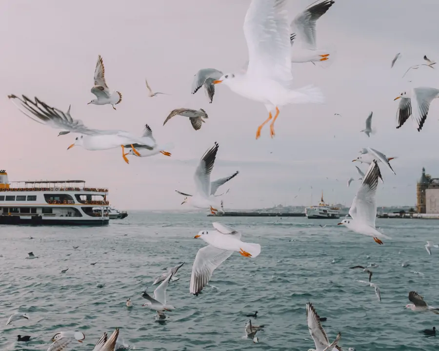 Fotoğraf Sanatçısı Ci Demi: “Bir korku filmi çektiğimi hayal ederek fotoğraf çekiyorum.” Fotoğraf Sanatçısı Ci Demi: “Bir korku filmi çektiğimi hayal ederek fotoğraf çekiyorum.”