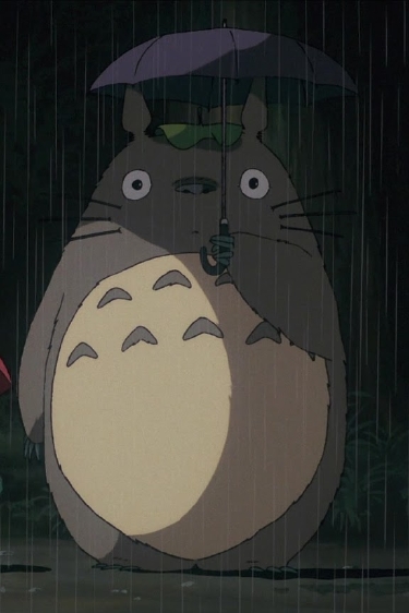 VFNO 2011 Nişantaşı