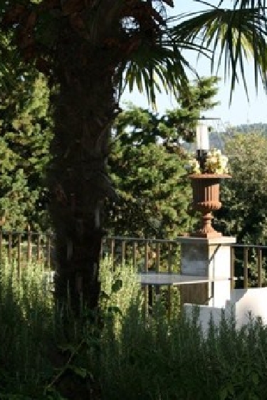 Nerede kalmıştık?