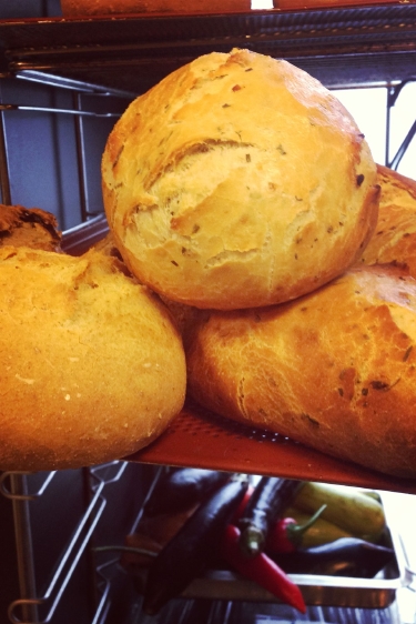 Ekmeğini baştan çıkar