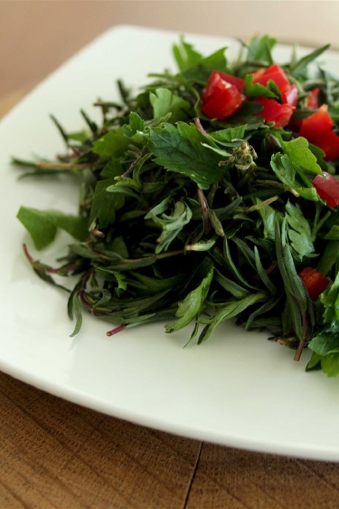 Arsuz kumu: Zahter (Za’atar)