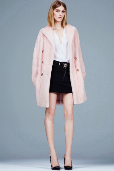 Wayne 2014 Pre-Fall