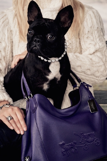 Miss Asia Kinney Miss Asia Kinney